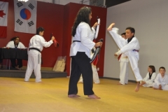 Taekwondo Waterloo Belt Testing D'Souza Martial Ars