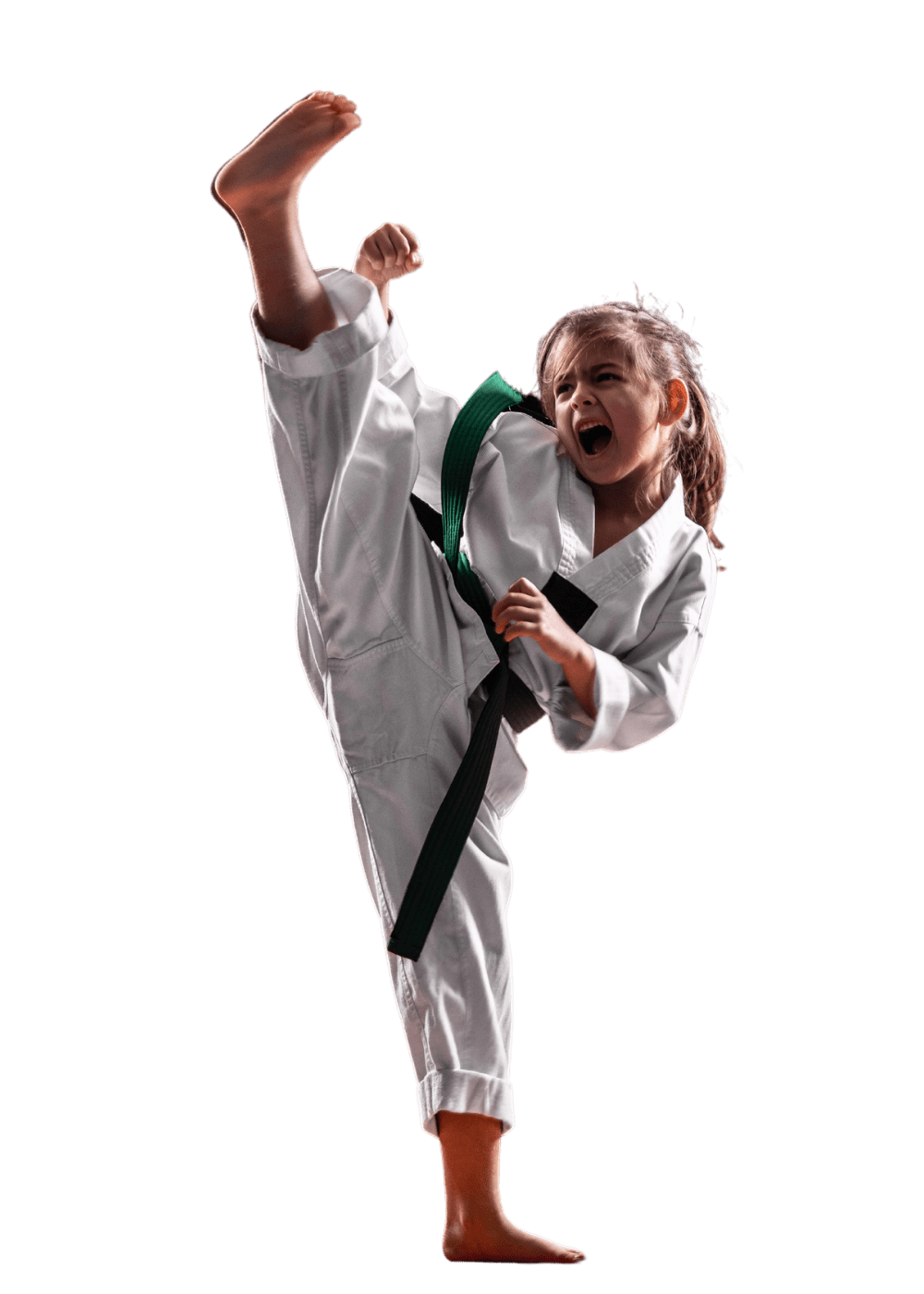 homepage high kick